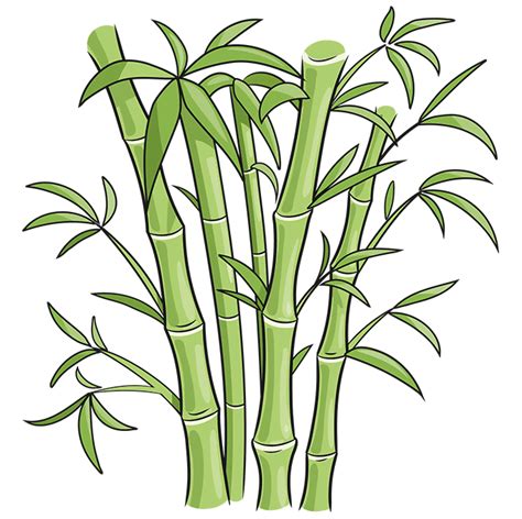 How To Draw Bamboo For Kids
