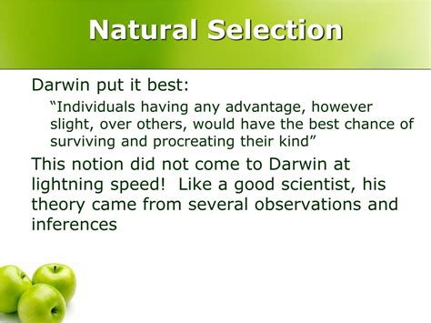 Ppt Natural Selection Powerpoint Presentation Free Download Id9386654