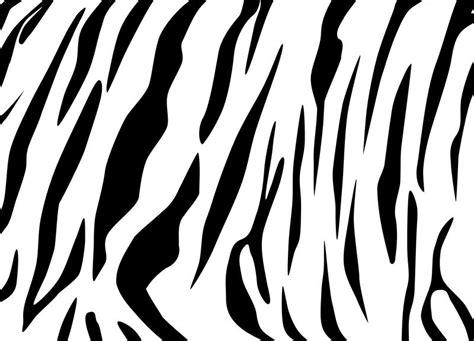Tiger Stripes Vector At Vectorified Com Collection Of Tiger Stripes