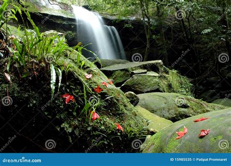 Waterfall Moss Stock Image Image Of Beautiful Isolate 15985535
