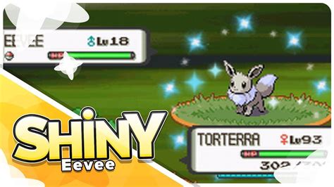 To be able to catch these pokemon you must first have the national pokedex. Live 40 Chain Poke Radar Shiny Eevee in the Trophy Garden! - YouTube