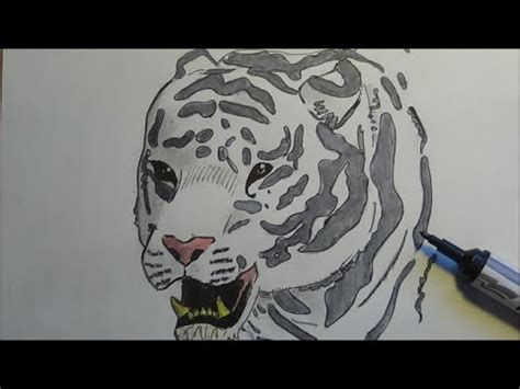 COMMENT DESSINER UN TIGRE HOW TO DRAW A TIGER Tutorial YouTube