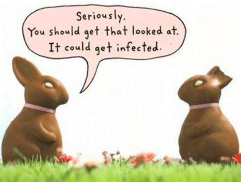 18 Funny Easter Memes To Make You Happy