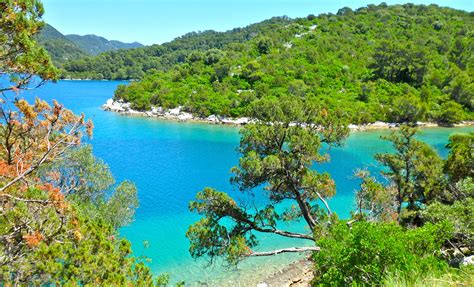 Beautiful National Park On Mljet Island In Southern Croatia Vacation