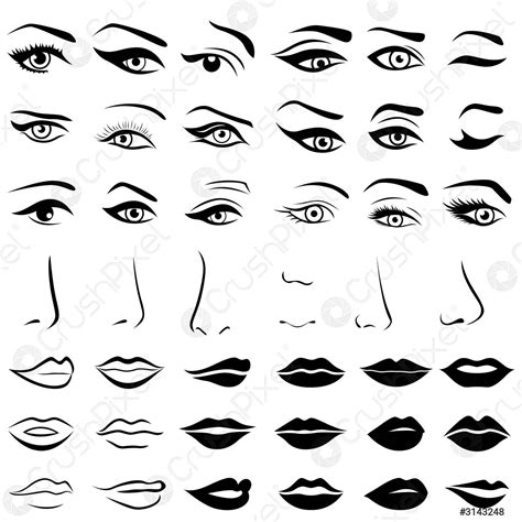 Conjunto De Ojos Nariz Y Labios Humanos Vector De Stock 3143248