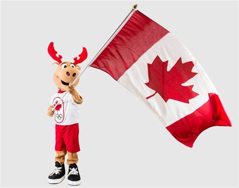 Canadian Olympic Team Names Komak As Its Moose Cot Olympic Team