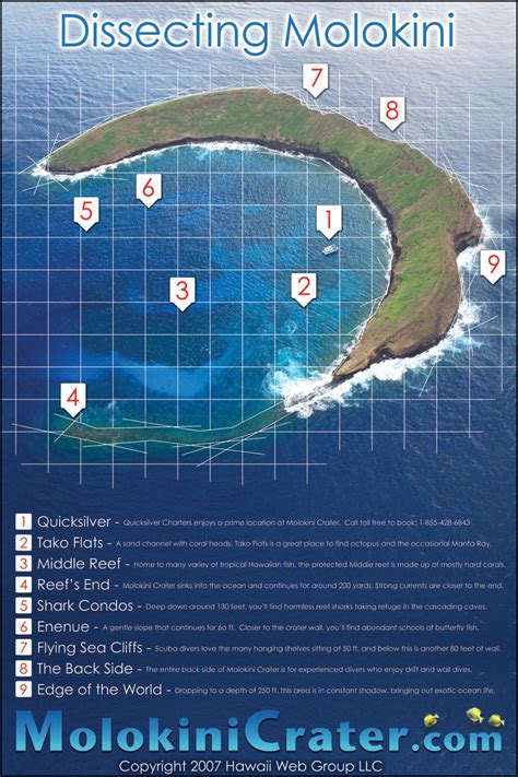 Molokini Dive Spots Visually Maui Vacation Maui Map Hawaii Travel