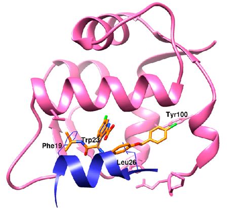 The Selected Target Protein Mdm2 In Complex With Transactivation Domain
