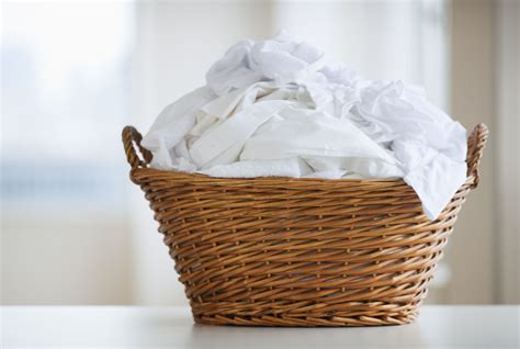 The 7 Best Laundry Baskets of 2019 gambar png