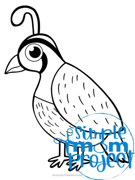 Free Printable Quail Template Simple Mom Project
