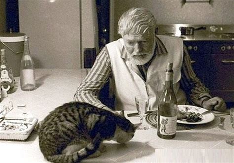 Today, approximately 60 cats, half of them polydactyl, make their home in the ernest hemingway museum and home, in key west, protected by the terms of his will. Ernest Hemingway fifty-seven cats | Hemingway cats ...