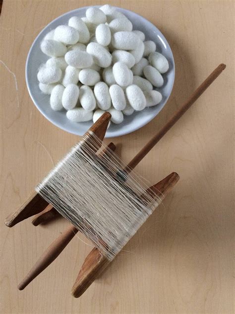 Silk Cocoons A Quality Cultivated Silk Cocoons Etsy