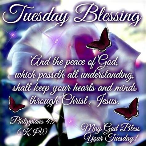 Tuesday Blessingmay God Bless Your Tuesday Pictures Photos And