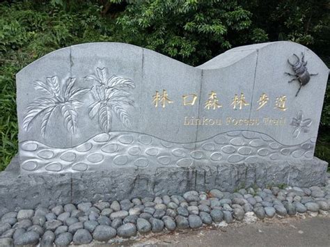 影城 喜樂時代影城南港店 台北真善美劇院 梅花數位影城 台北京站威秀影城 喜滿客絕色影城 台北新光影城. 林口森林步道 (Linkou) - 旅游景点点评 - Tripadvisor