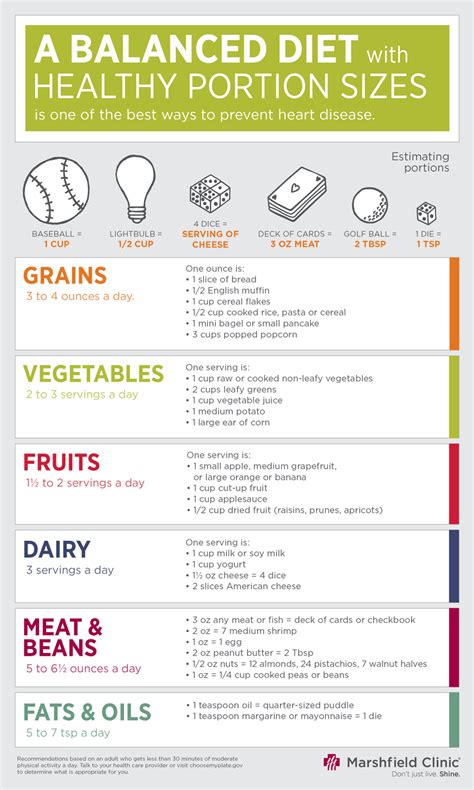 A Balanced Diet With Healthy Portions Infographic