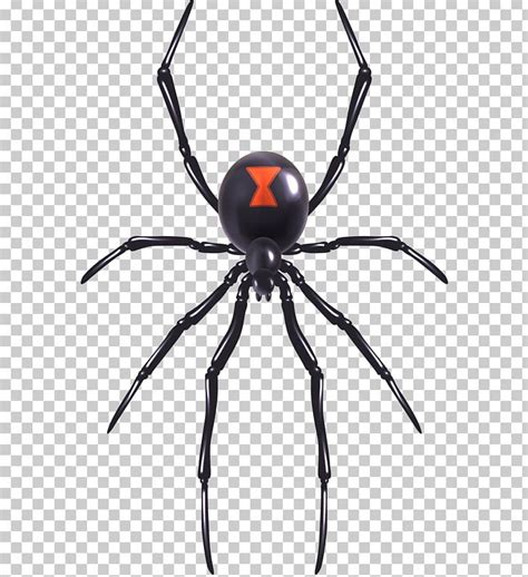 Black Widow Spider Web Pest Control Black Widow Spiders Hearts Pest