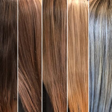 this is my clients journey from virgin brunette hair to an icey blonde four 4 hour sessions