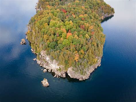 Hồ Champlain Câu cá Kích thước Độ sâu và hơn thế nữa Cá cảnh mini