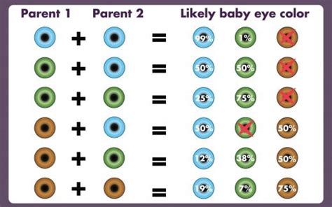 Eye Color Gene Probability Chart Writing Pinterest Eye Color