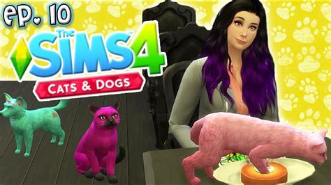 Public Place Chaos The Sims 4 Raising Youtubers Pets Ep 10 Cats