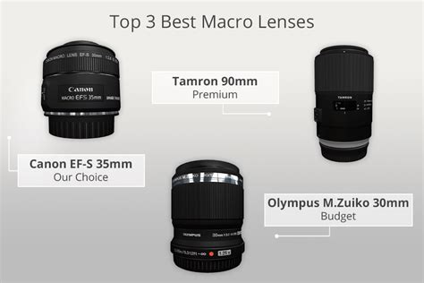 8 Best Macro Lenses In 2023 Ranked And Reviews