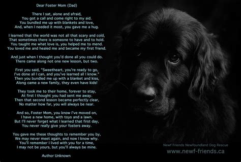 Rescue Dog Poems And Quotes Quotesgram