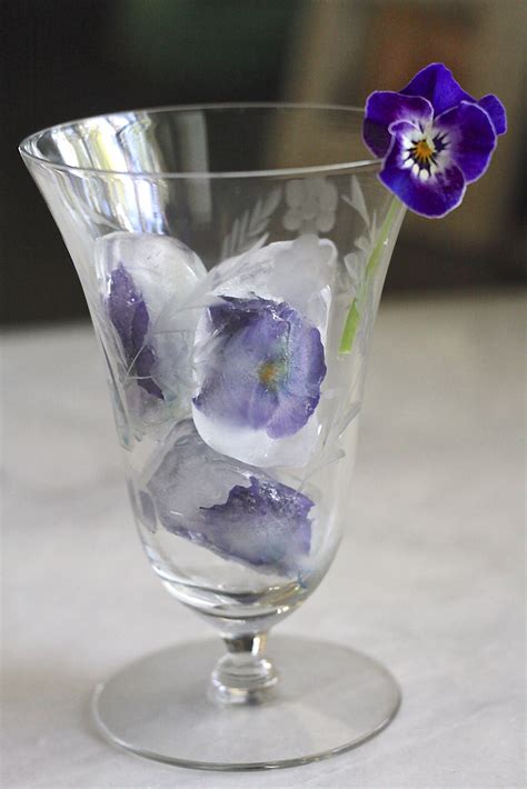 Edible Flower Ice Cubes Wenderly