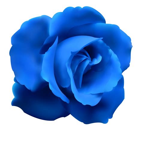 Vector Transparent Blue Flower Png Find More Blue Vector Png Graphics