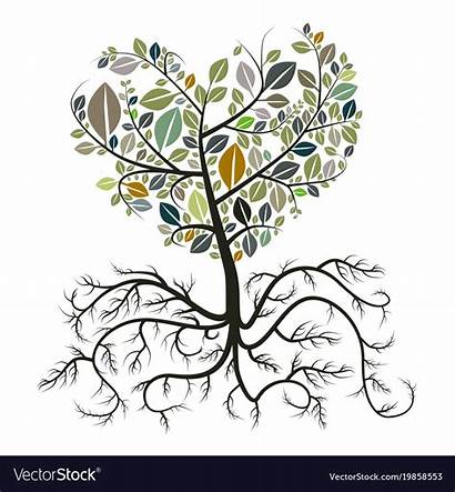 Roots Tree Heart Clipart Shaped Clipground