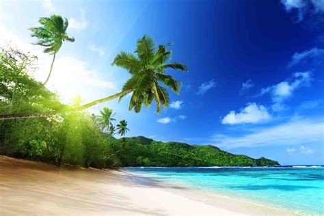 Tropical Island Wallpaper For Android Apk Download