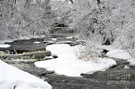Peaceful Winter Scene Photograph By Dyana R Fine Art America