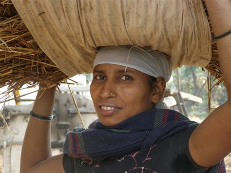 indian woman carries hay on her head free image download