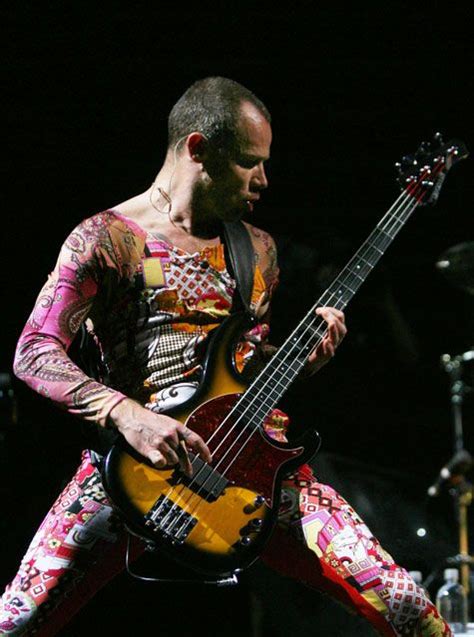 Fleas Bass Guitars Fleas Red Hot Chili Peppers Rhcp