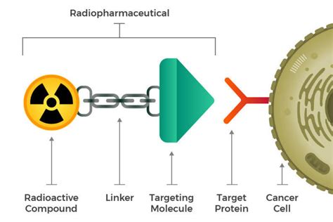 History Of Vaccines New Cancer Therapy