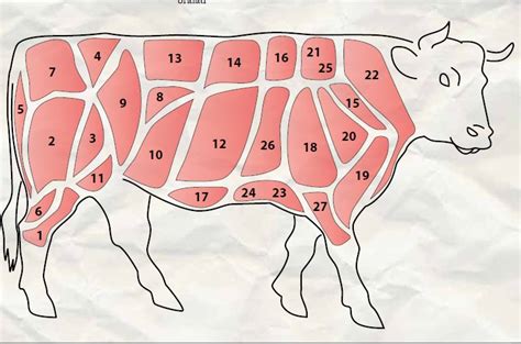 Tagli Di Carne Bovina Quali Sono Le Caratteristiche E Come Cucinarli Images