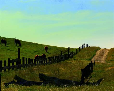 Road Up To The Pasture Photograph By Kerry Reed Fine Art America