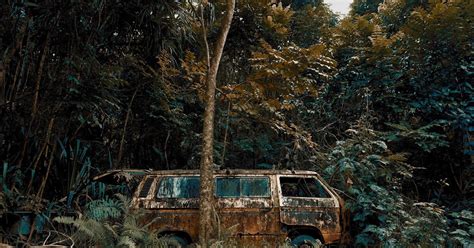 Chingum — Discover Curiosities Forests Take Over These Abandoned Cars