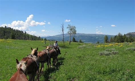 West Yellowstone Horseback Riding Horse Trail Rides Alltrips