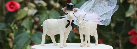 How To Include Cuddly Animals On Your Wedding Day