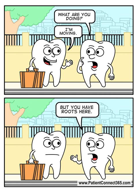 Dental Hygiene Jokes Freeloljokes