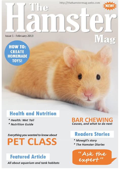 The Hamster Mag Issue 1 By Linford27 Issuu