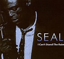 Seal – I Can't Stand The Rain (2009, CDr) - Discogs
