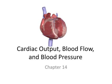 Ppt Cardiac Output Blood Flow And Blood Pressure Powerpoint