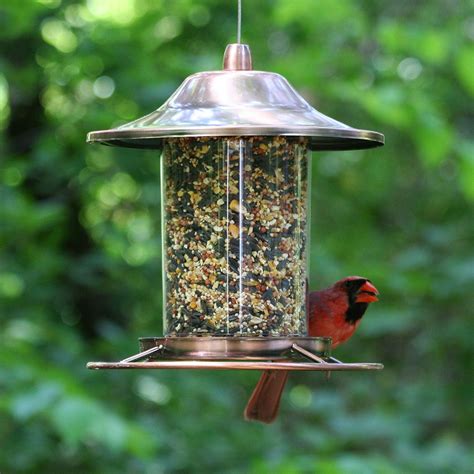 We did not find results for: The 7 Best Bird Feeders of 2021