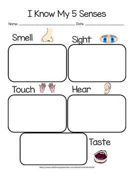 Kids draw something they hear at the zoo for this kindergarten science worksheet. 5 Senses Worksheet by Janet McIntosh | Teachers Pay Teachers