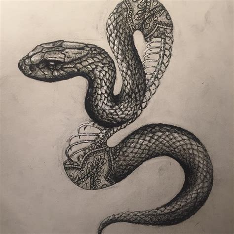 A Pencil Drawing Of A Snake On Paper
