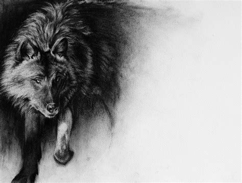 This drawing model for today is considered to be a mythological human having the power to shift into a realistic wolf. Black and white Wolf Drawing, Wolf charcoal sketch, Animal sketch, Animal Print, Wild Animal ...