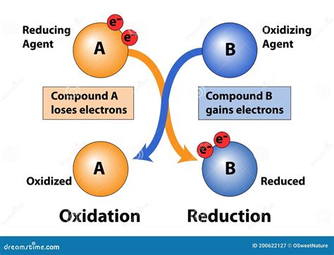 Oxidación Y Reducción De Compuestos Ilustración Del Vector