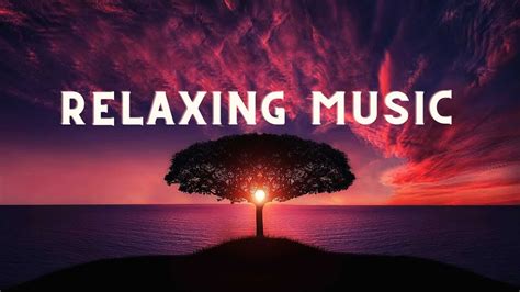 👉 Relaxing Music Calm The Mind And Relax Youtube Music