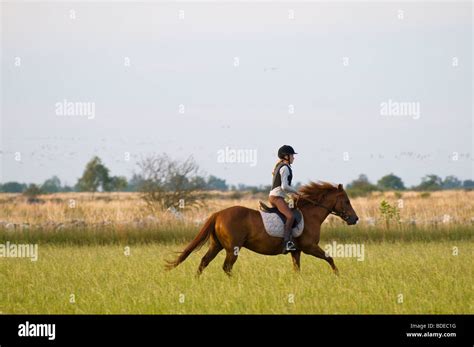 Young Girl Riding A Pony Stock Photo Alamy